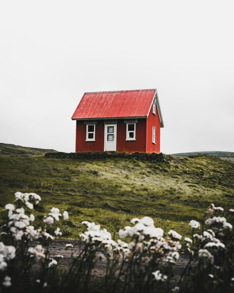 Pest proofing house before winter